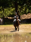 DSC01440 DSC01440