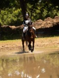DSC01441 DSC01441