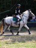 IMG_5267