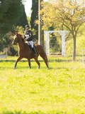 DSC00574 DSC00574