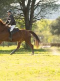 DSC00576 DSC00576