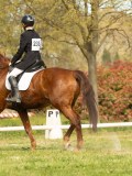 DSC08950 DSC08950