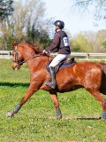 IMG_0037 IMG_0037