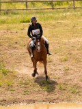 DSC04329 DSC04329