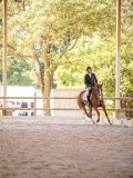 IMG_9035 IMG_9035