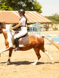 DSC00142 DSC00142