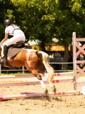 DSC00143 DSC00143