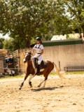 DSC00144 DSC00144