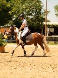 DSC00146 DSC00146