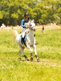 DSC00776 DSC00776