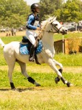 DSC00778 DSC00778