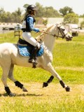 DSC00779 DSC00779