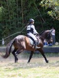 IMG_5398