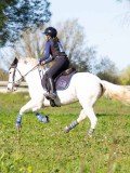 IMG_0352 IMG_0352