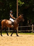 DSC00262 DSC00262