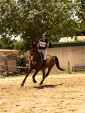 DSC00268 DSC00268