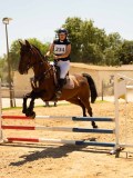 DSC00269 DSC00269