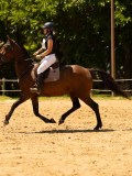 DSC00276 DSC00276