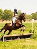 DSC00749 DSC00749