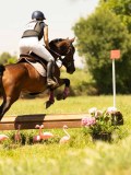 DSC00769 DSC00769