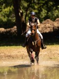 DSC01454 DSC01454