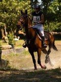 DSC01457 DSC01457