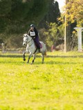 DSC00751 DSC00751