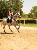 DSC00184 DSC00184