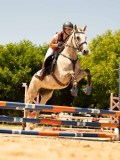 DSC00186 DSC00186