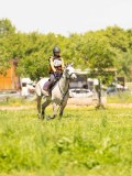 DSC01523 DSC01523