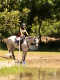 DSC01526 DSC01526