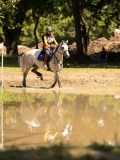 DSC01527 DSC01527