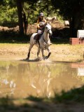 DSC01528 DSC01528