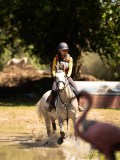 DSC01529 DSC01529