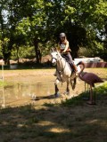 DSC01531 DSC01531