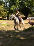 DSC01532 DSC01532