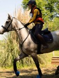 DSC01533 DSC01533