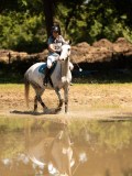 DSC01485 DSC01485