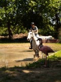 DSC01490 DSC01490