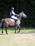 IMG_6019