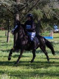 IMG_0117 IMG_0117