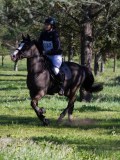 IMG_0119 IMG_0119