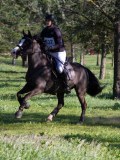 IMG_0120 IMG_0120