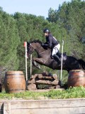 IMG_0122 IMG_0122
