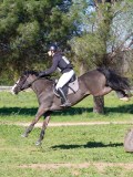 IMG_0129 IMG_0129