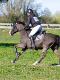 IMG_0133 IMG_0133