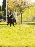 DSC00769 DSC00769