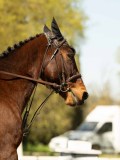 DSC09141 DSC09141
