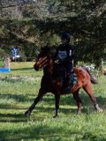 IMG_0264 IMG_0264