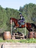 IMG_0270 IMG_0270